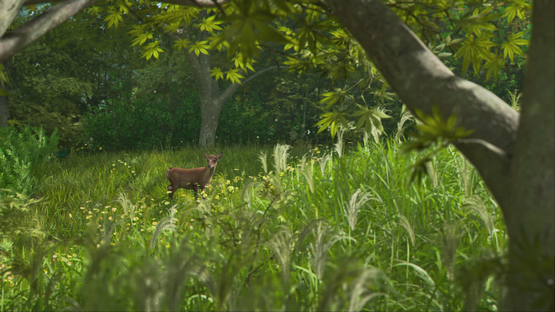 Assassin's Creed Shadows Yasuke Naoe Game Informer Review