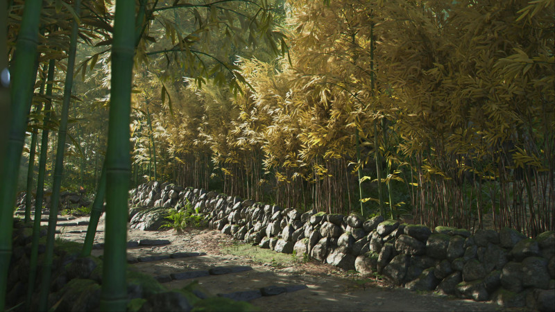 Assassin's Creed Shadows Yasuke Naoe Game Informer Review